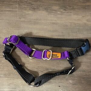 Purple and Black Dog Harness